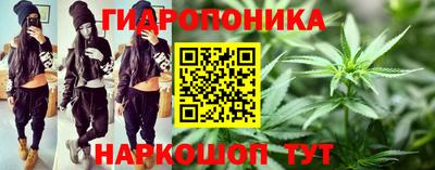 альфа пвп Аргун